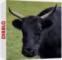 Diablo 封面图