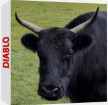 Diablo 封面图