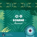 Konane 封面图