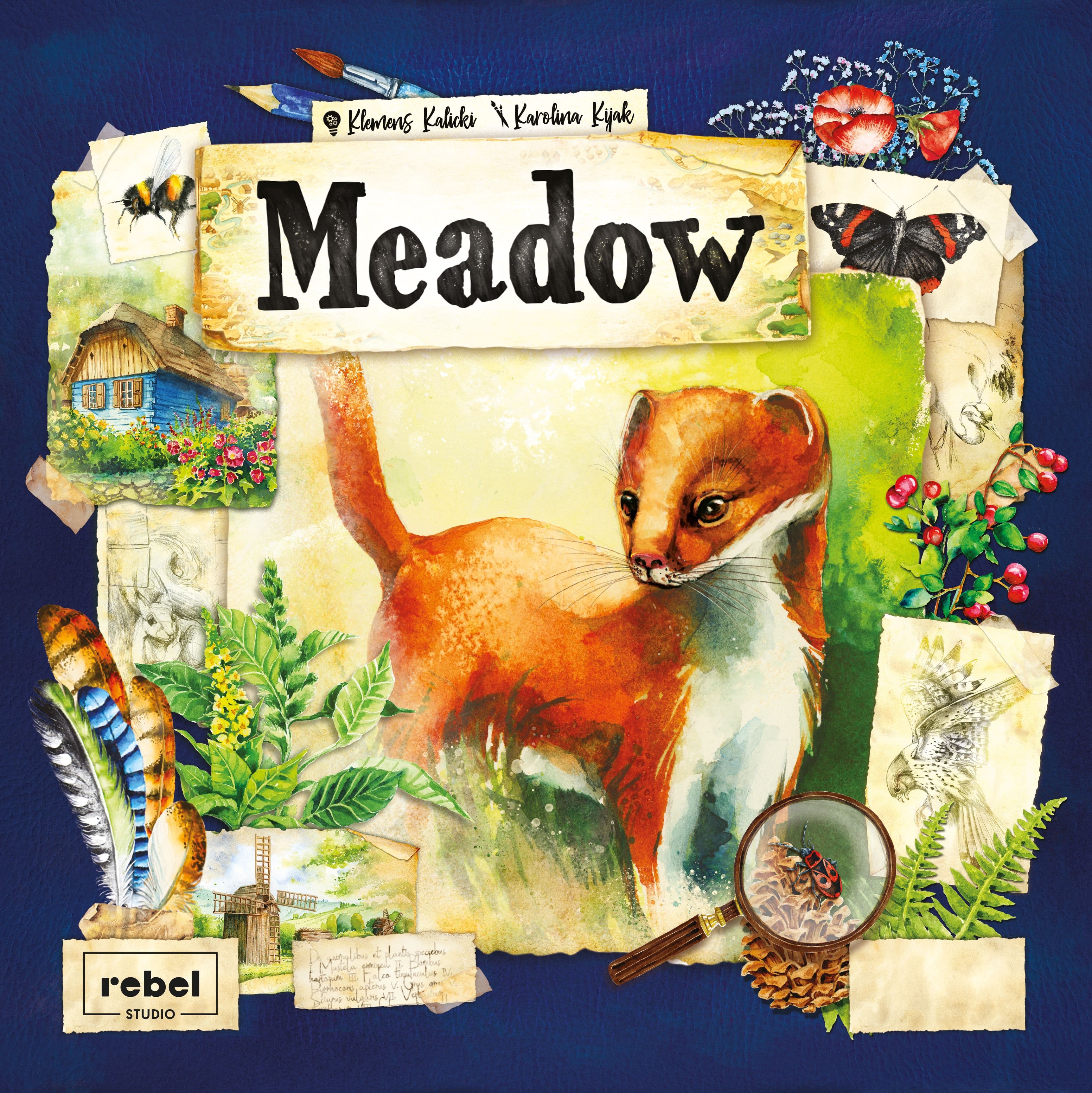 Meadow 封面图