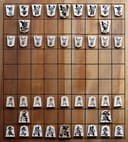 将棋 封面图