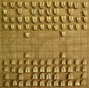 中将棋 封面图