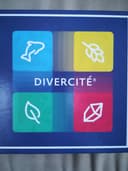 Divercité 封面图