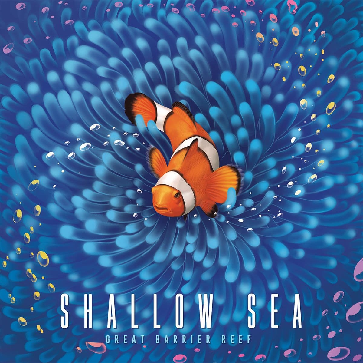 Shallow Sea 封面图