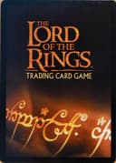 The Lord of the Rings Trading Card Game 封面图